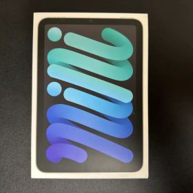 iPad mini 第7世代 256GB スペースグレイ