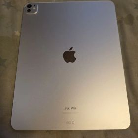 ら*む様 M4 iPad Pro 13インチ箱無し