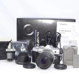 オリンパス OM-D E-M5 Mark III 12-45mm F4.0 PROキット シルバー 動作確認済み コンディション良好 付属品あり