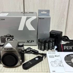 PENTAX KP シルバー・CS-310付 ・予備電池多数 8360回