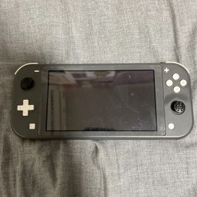 Nintendo Switch Lite 本体 グレー