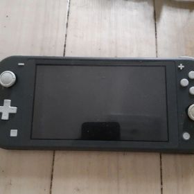 Nintendo Switch Lite 本体 グレー