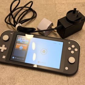 海外版 Nintendo Switch Lite 本体 グレー