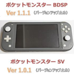 スイッチライト本体 グレー SV Ver. 1.0.1 BDSP 1.1.1