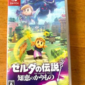 ⭐️ゼルダの伝説 知恵のかりもの Nintendo Switch⭐️