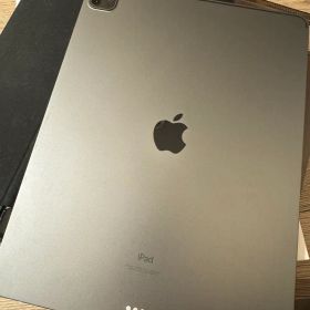 Apple iPad Pro 本体 MHN3J/A 256GB