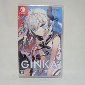 Nintendo Switch GINKA
