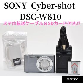 美品 SONY Cyber-shot DSC-W810 スマホ転送OK 11H