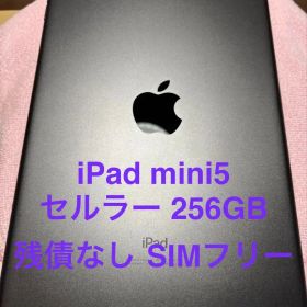 【美品・残債なし】Apple iPad mini 5 セルラーモデル 256GB