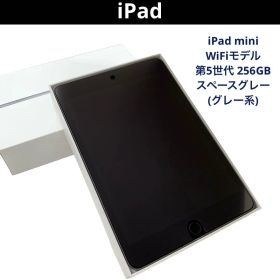 iPad mini WiFiモデル 第5世代 256GB A2133 グレー系