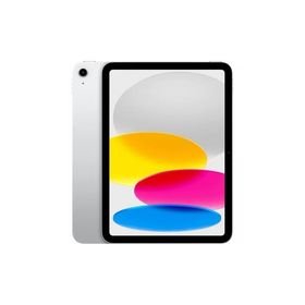 【未使用】Apple 【Wi-Fi】 iPad（A16/2025） 128GB シルバー MD3Y4J/A【ECセンター】保証期間６ヶ月