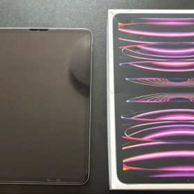 ipad pro 11 第4世代 256GB ジャンク品