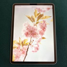 11インチiPad Pro 第3世代（M1） Wi-Fi 256GB[整備済製品