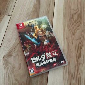 ゼルダ無双 厄災の黙示録 Nintendo Switch