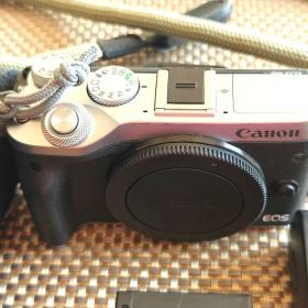【付属品多数】Canon EOS M6 ミラーレス一眼 EF-M キヤノン