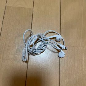 Apple EarPods with Lightning Connector