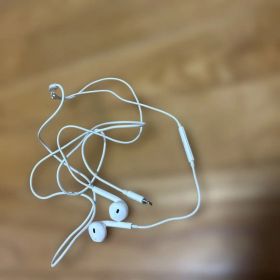 Apple EarPods Lightningコネクタ 本体