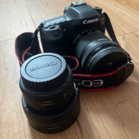 Canon EOS 80D 本体 レンズ2本付き