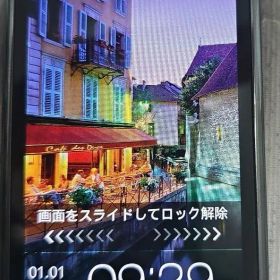 Samsung Galaxy S SC-02B 本体