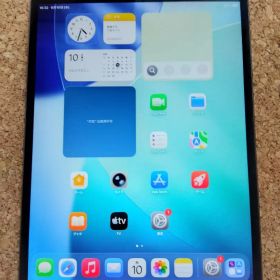 iPad air3 第3世代 本体 TouchID不良 ジャンク