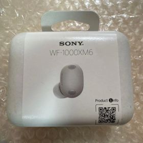 SONY イヤホン WF-1000XM6(S)