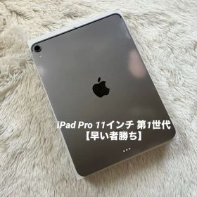 【完動品】iPad Pro 11インチ 第1世代 256GB 【すぐ発送】