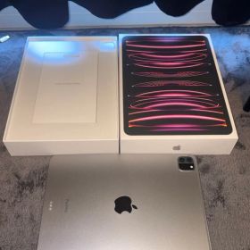 iPadPro11インチ 第4世代 M2 256GB 最大容量91%