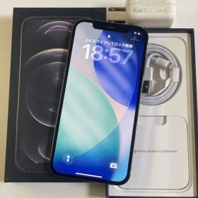 Iphone 12 PRO 256GB SIMフリー100%