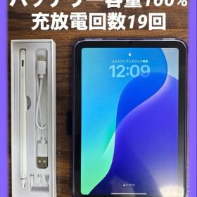 【極美/バッテリー100%】iPad mini 第7世代 Wi-Fi 128GB