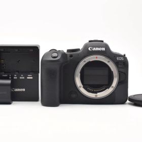 ★美品★ ★ショット数3000回以下★ キヤノン Canon EOS R6 Mark II ボディ 充電器付き ARYM6391 #91