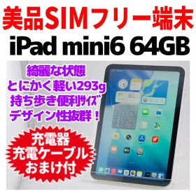 美品iPad mini 第6世代 本体 64GB SIMフリー cellular