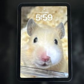 Apple iPad mini (第６世代) Wi-Fi 256GB パープル