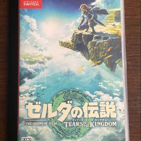 ゼルダの伝説 ティアーズ オブ ザ キングダム Switch