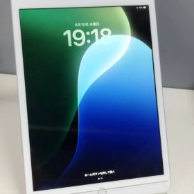 【Wi-Fiモデル】iPad 第7世代/10.2インチ/A2197/32GB〈MW752J/A〉(1)
