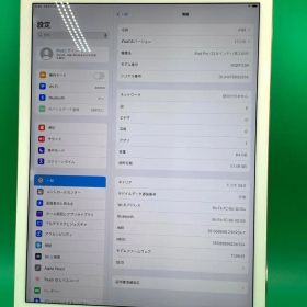 ★美品iPadPro 12.9インチ第2世代Wi-Fi+Cellular64GB