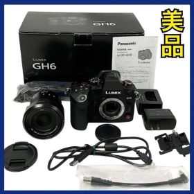 パナソニック ルミックス ミラーレス一眼カメラ レンズキット DC-GH6L