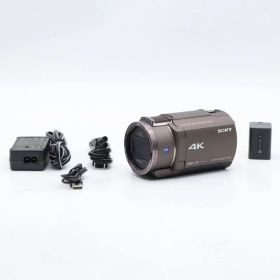 SONY FDR-AX45A ブロンズブラウン