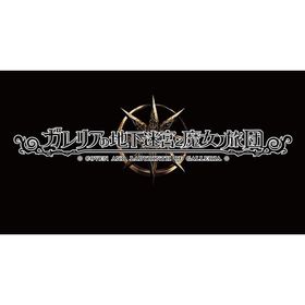 【新品】PS4 ガレリアの地下迷宮と魔女ノ旅団 初回限定版