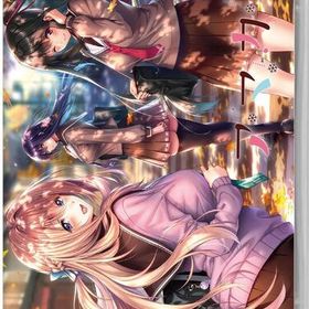 【新品】Switch アマカノ2【メール便】