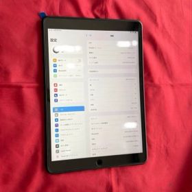 Apple iPad Pro 10.5 256GB Wi-Fi セルラー