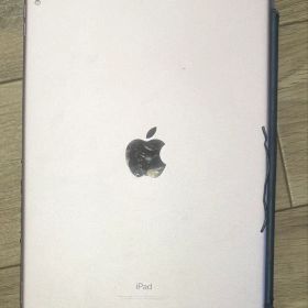 iPad Pro 10.5インチ 256GB 画面割れあり 動作良好 初期化済み