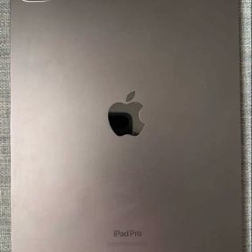 iPad Pro M4 11インチ（256GB・スペースブラック）