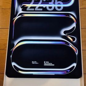 ●美品●iPad pro 13インチ(M4) 国内版セルラー 256GB