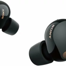 ソニー(SONY)ワイヤレスノイズキャンセリングイヤホン WF-1000XM5 :【VGP2025金賞】 / 完全ワイヤレス/圧倒的ノイズキャン
