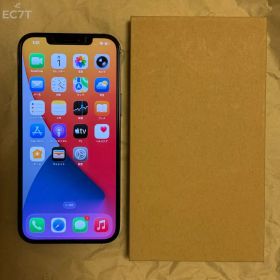 BT100% iPhone12 Pro Max パシフィックブルー 128GB