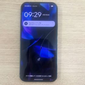 Google Pixel 9 Pro 本体 128GB美品