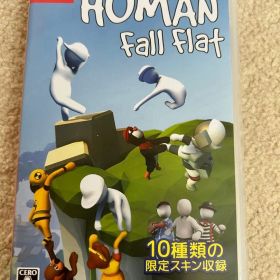 ヒューマンフォールフラット switch