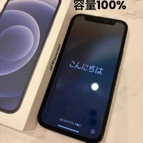 【バッテリー100%】iPhone 12mini 黒 SIMフリー 64GB