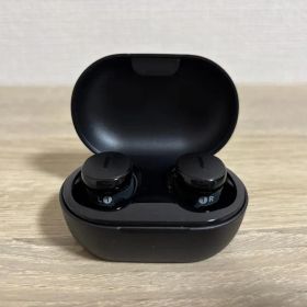 Bose QuietComfort Earbuds 本体