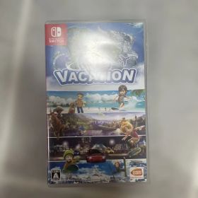 Nintendo Switch GO VACATION ソフト